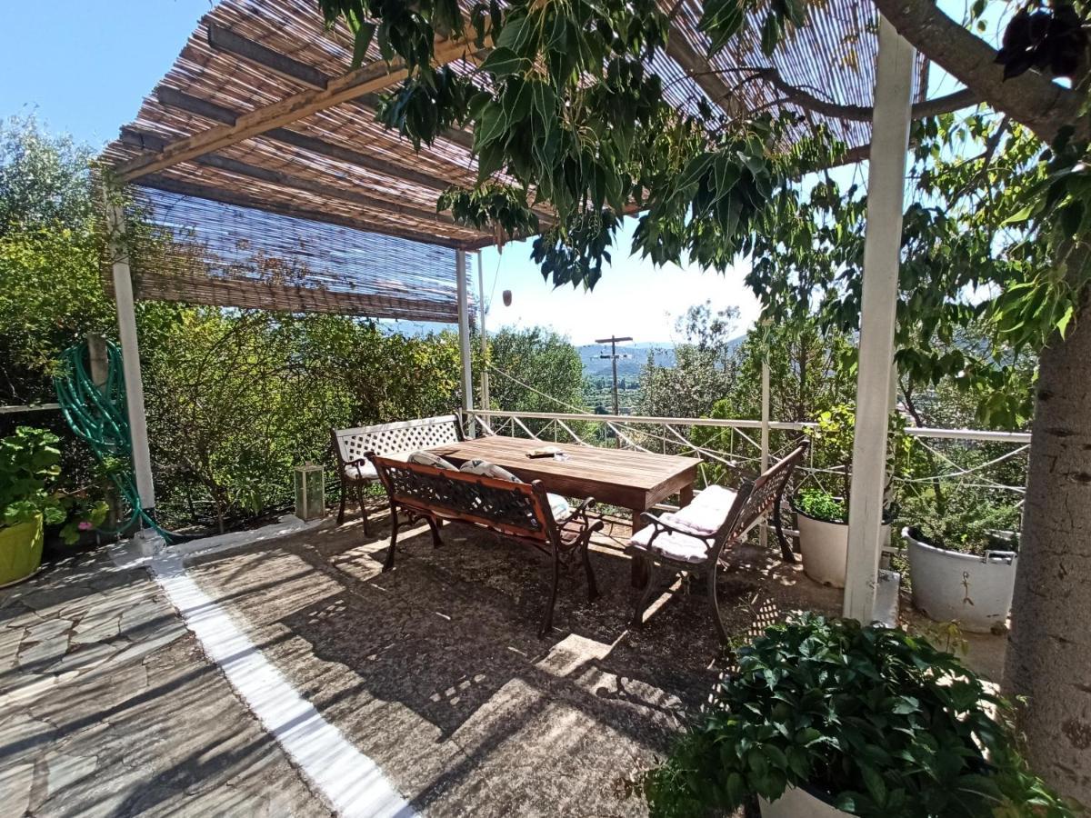 Heras Garden Vasilikí Exteriör bild